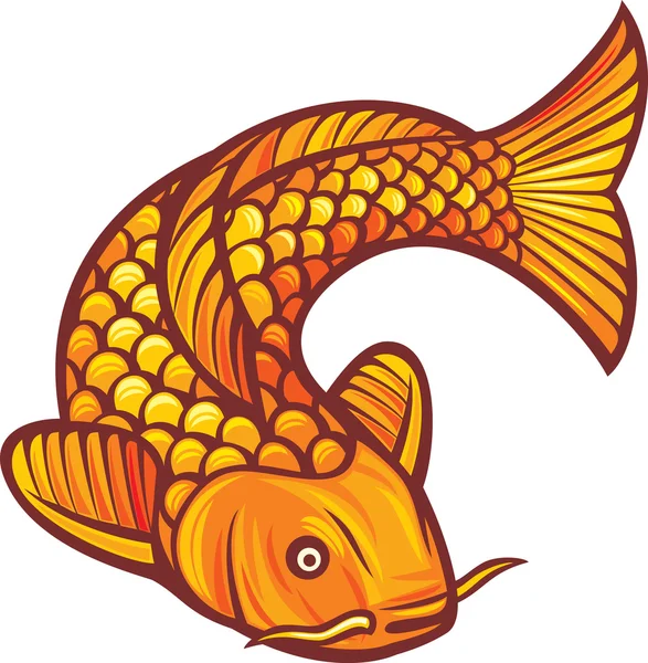 Koi vissen (vectorillustratie van een Japanse of chinese geïnspireerd koi-karper vissen) — Stockvector
