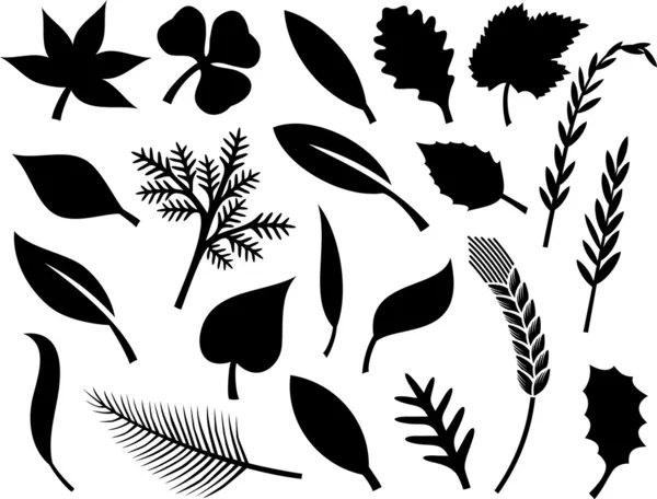 Collectie van blad silhouetten — Stockvector