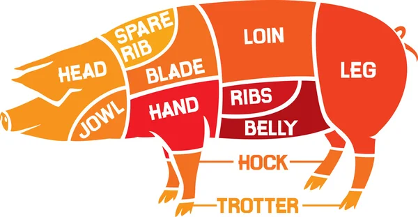 Cortes de cerdo — Vector de stock