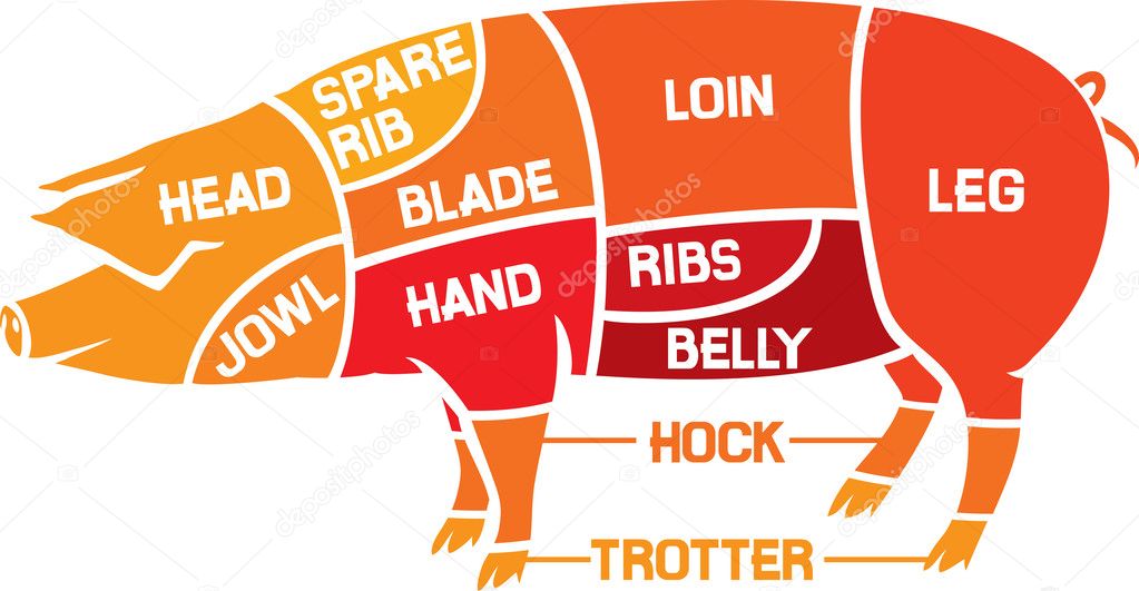 Cuts of pork