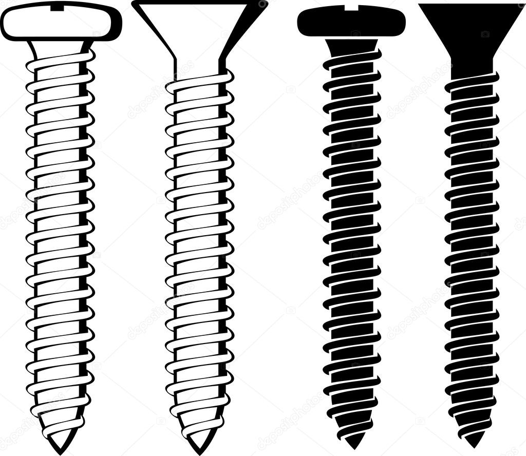 Vector illustration of screws