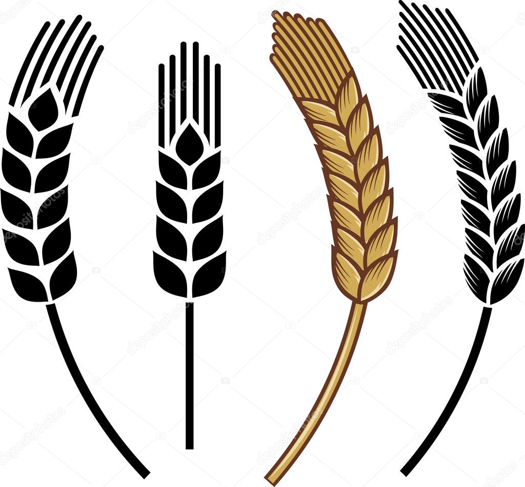 Wheat ear icon set