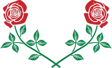 kırmızı gül vektör