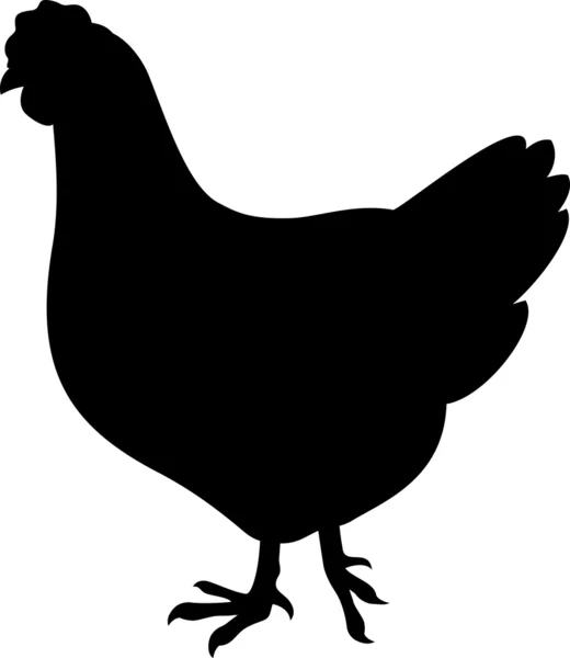 鶏 — ストックベクタ