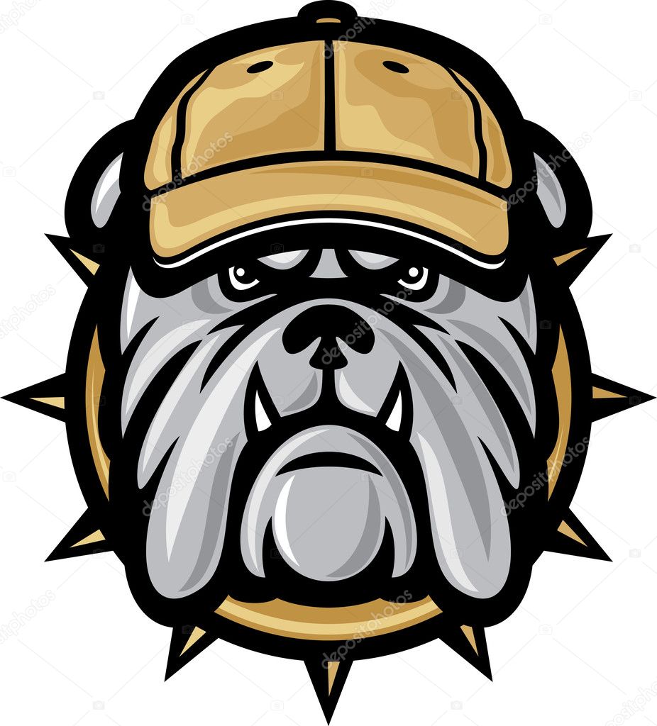 Bulldog head and baseball cap
