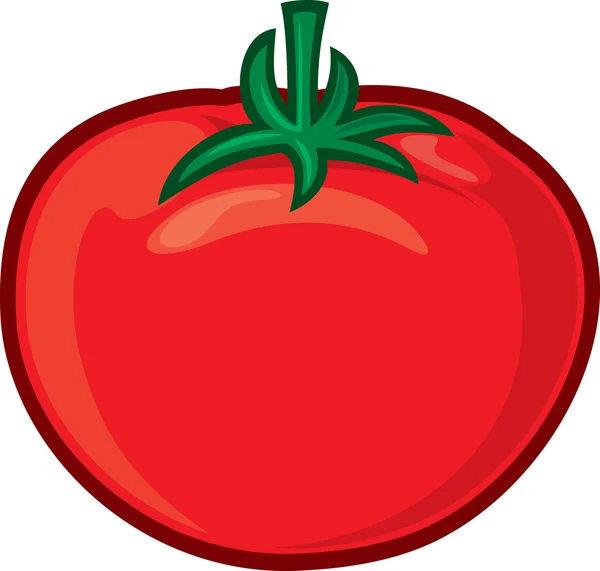 Tomato — Stock Vector