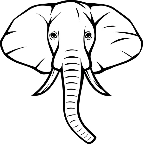 Elefánt fej — Stock Vector