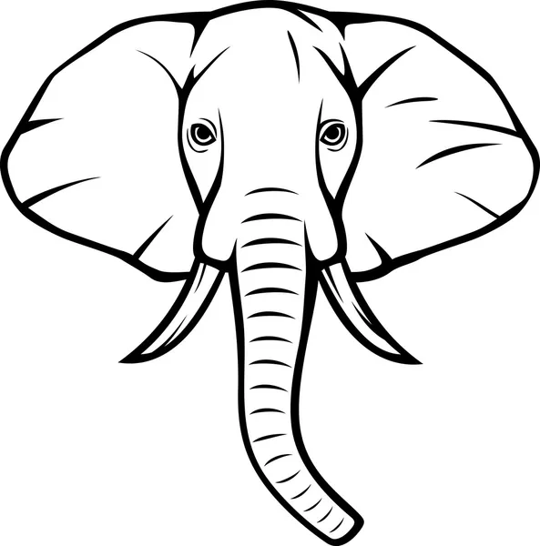 Cabeza de elefante — Archivo Imágenes Vectoriales