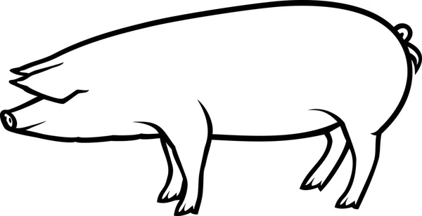 Ilustracja wektorowa świnia — Wektor stockowy