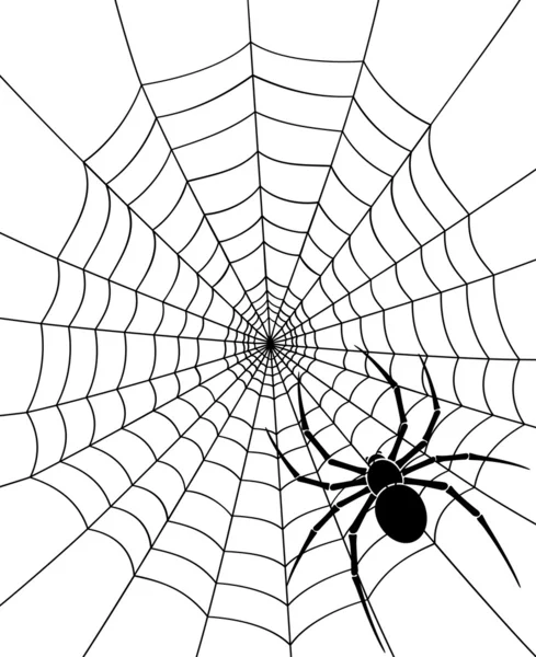 Aranha negra e teia de aranha —  Vetores de Stock