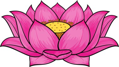 Lotus çiçeği.