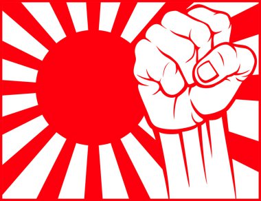 Japonya yumruk (Japonya bayrağı)