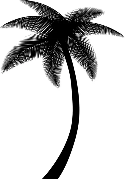 Palm tree silhouette — Stock Vector