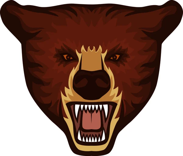 Bear head — Stock Vector