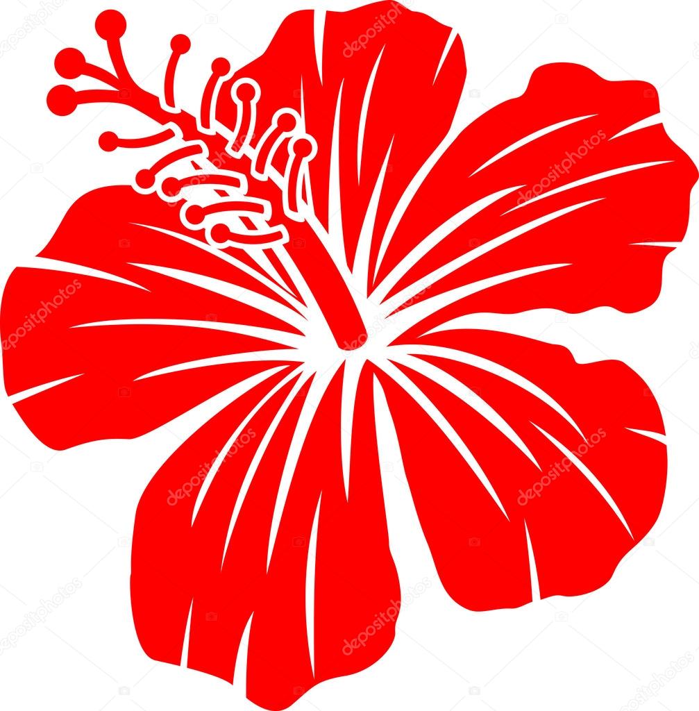 Beautiful red hibiscus flower