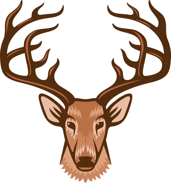 Łeb jelenia — Wektor stockowy
