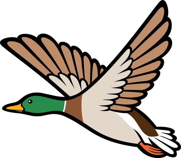 Featured image of post Silhouette Mallard Duck Clipart Free mallard duck silhouette clip art