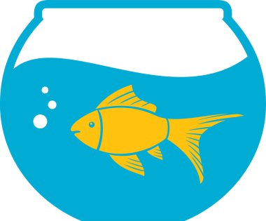 küçük bir süs balığı akvaryum