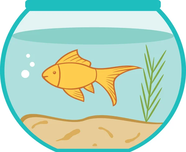 Aquarium with a small goldfish — Stock Vector