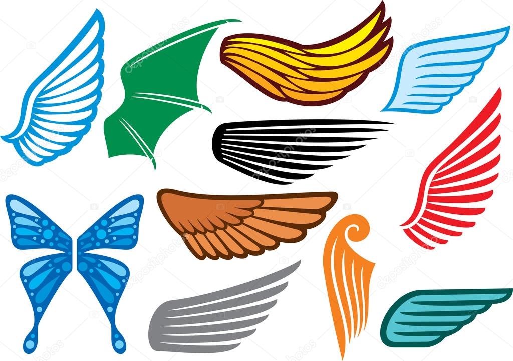 Set of colorful wings
