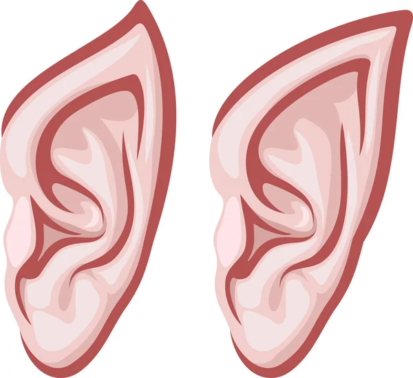 Orelhas de elfo —  Vetores de Stock