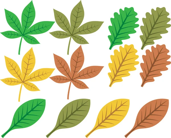 Vector collection of leaf silhouettes — Stock Vector