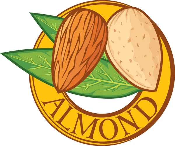 Almond label — Stock Vector