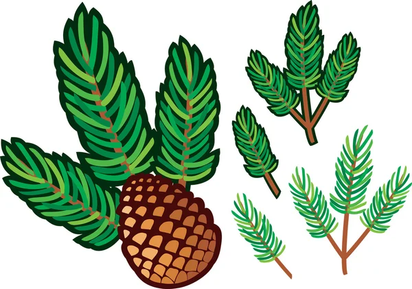Rama de cono de pino y pino — Archivo Imágenes Vectoriales