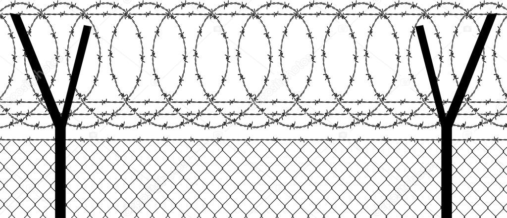Barbed wire (wired fence)