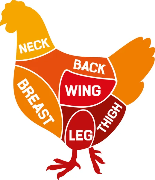 Diagrama de cortes de frango —  Vetores de Stock