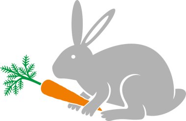 Tavşan bir carrot holding