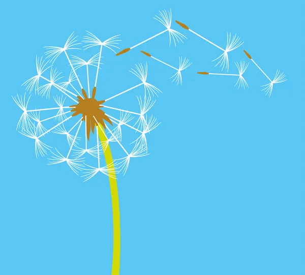 Dandelion in the wind — Stock Vector