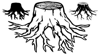 Old tree stump with roots clipart