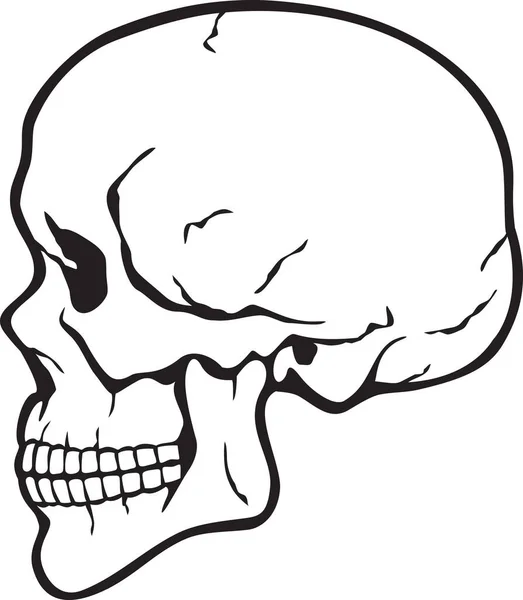 Human Skull Profile Black White Vector Illustration — Stock Vector