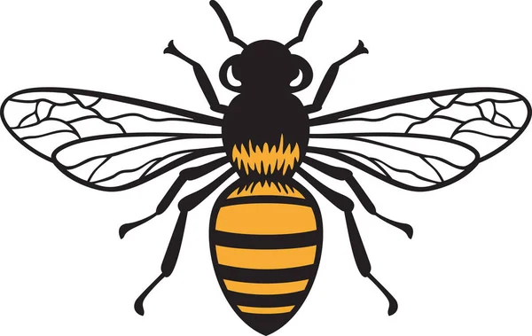 Цветовая Векторная Иллюстрация Пчелиных Насекомых — стоковый вектор
