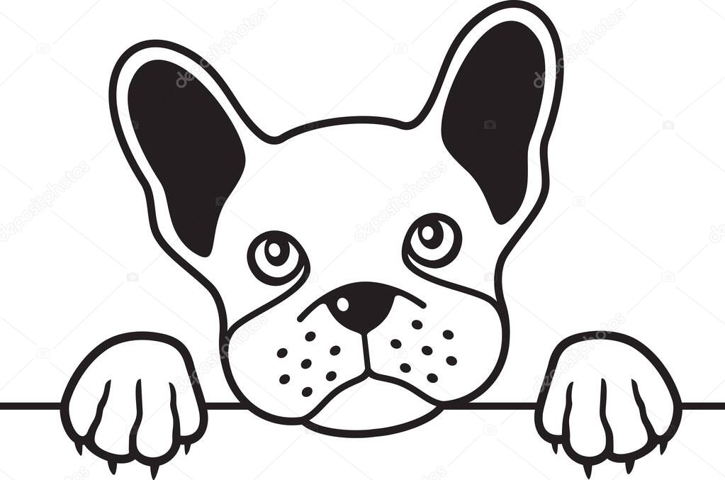 French Bulldog Black and White Vector Illustration