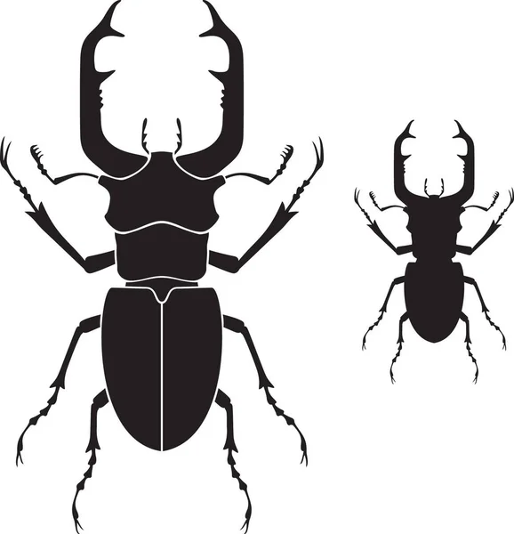 Escarabajo Ciervo Insecto Negro Blanco Vector Ilustración — Archivo Imágenes Vectoriales