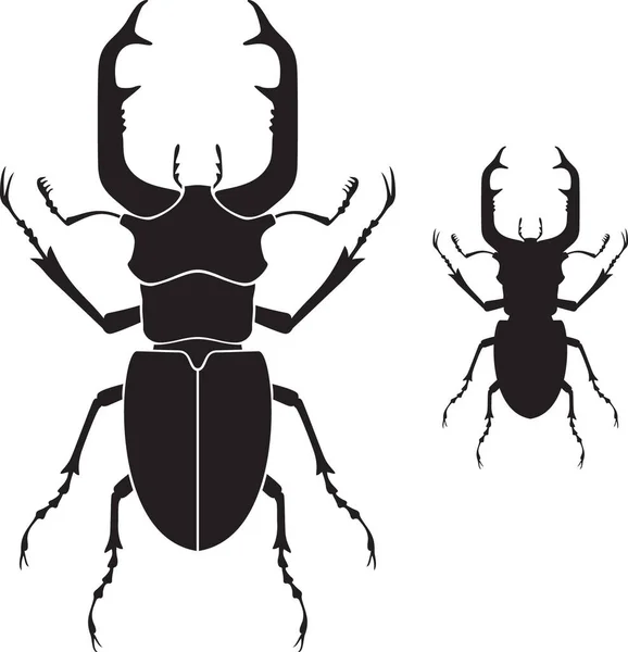 Stag Beetle Bug Black White Vector Illustration — Stock Vector