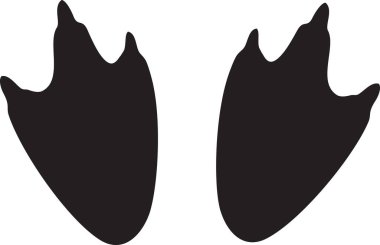 Penguen ayakları siyah ve beyaz vektör çizimi