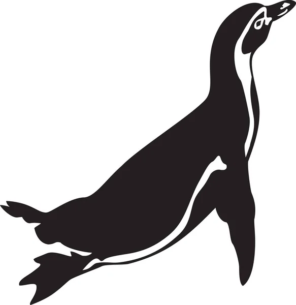 Pinguim Animal Preto Branco Vetor Ilustração — Vetor de Stock