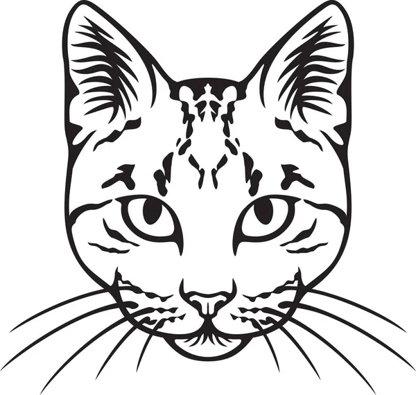 Cara Gato Preto Branco Ilustração Vetorial — Vetor de Stock