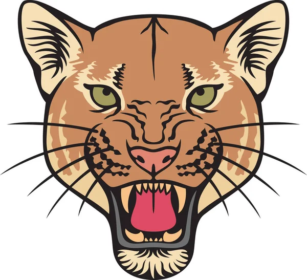 Cougar Rosto Cor Vector Ilustração — Vetor de Stock