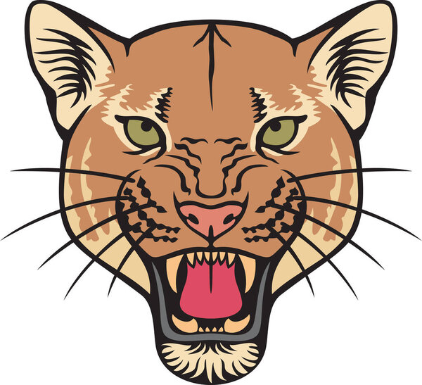 Cougar Face Color Vector Illustration