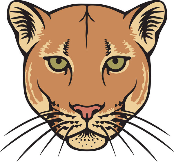 Cougar Head Color Vector Illustration
