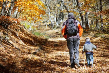 father and son walking in autumn forest clipart