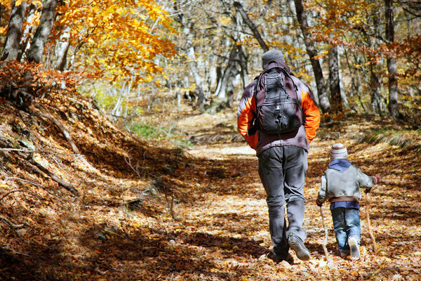 father and son walking in autumn forest