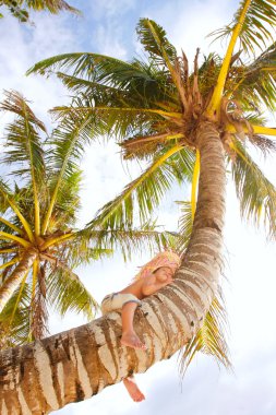 palmiye ağacı üzerinde mutlu çocuk