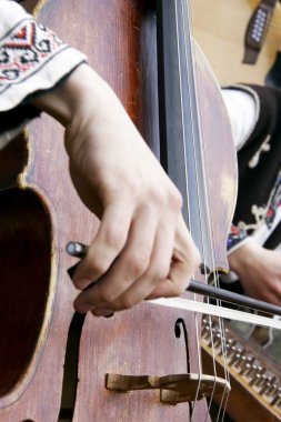 close up of playing contrabass clipart
