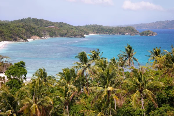 Tropisch strand en palmbomen — Stockfoto