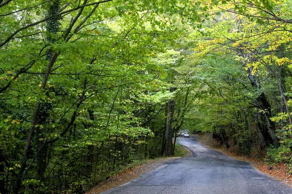Coche en carretera en el bosque de otoño —  Fotos de Stock